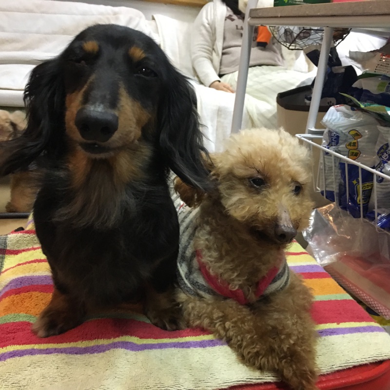 支援物資をいただきました😄いつも本当にありがとうございます💑